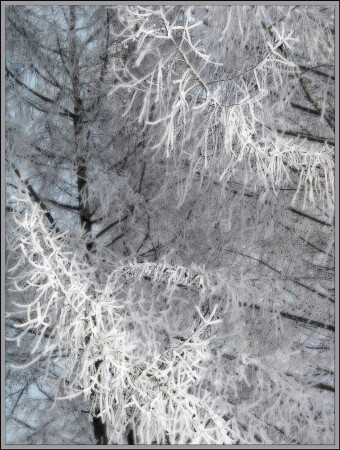 Сказочная зима