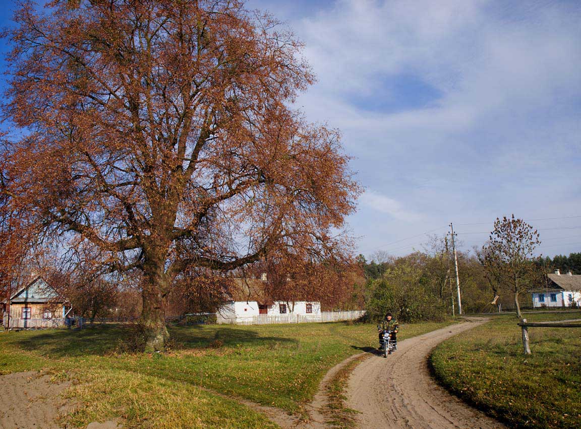 Осень в деревне