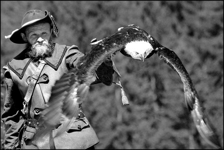 Ощущение свободы