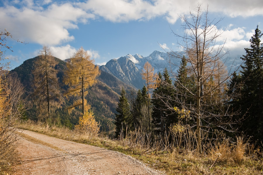 Осень в альпах...