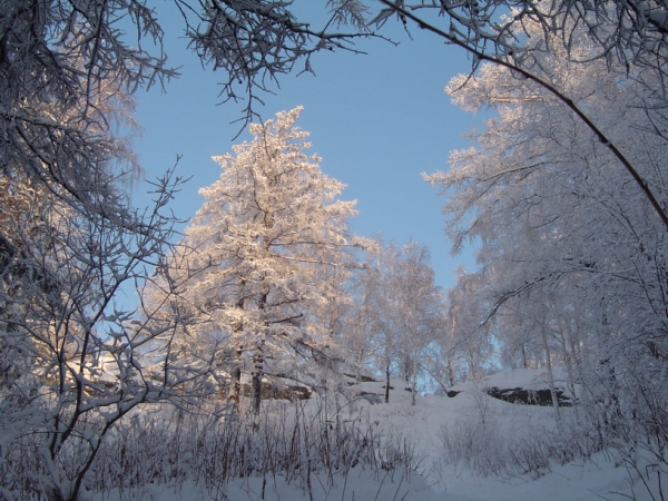 Зимушка Уральская