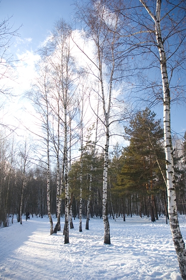 Мороз и солнце