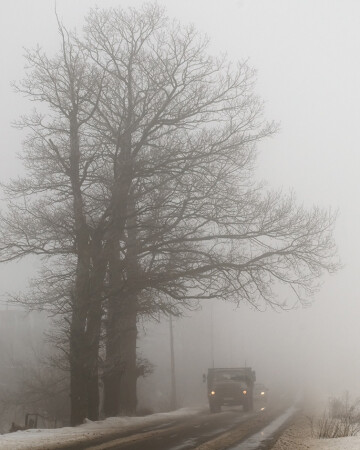 Туманная дорога...