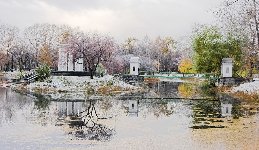 есть в графском парке черный пруд...