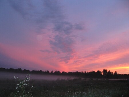 Вечер в розовых тонах