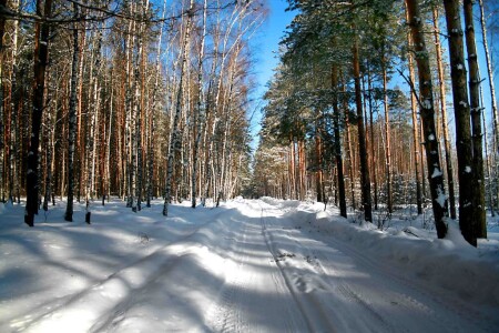 Зимняя дорога