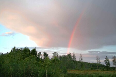 После грозы