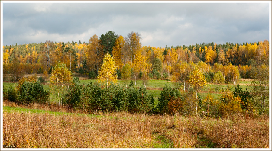 Краски осени