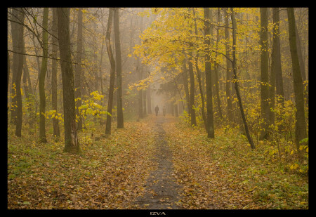 Осеннее утро