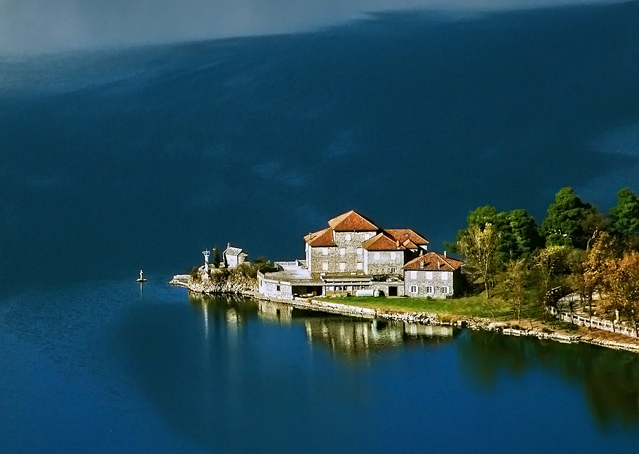 Lonely House