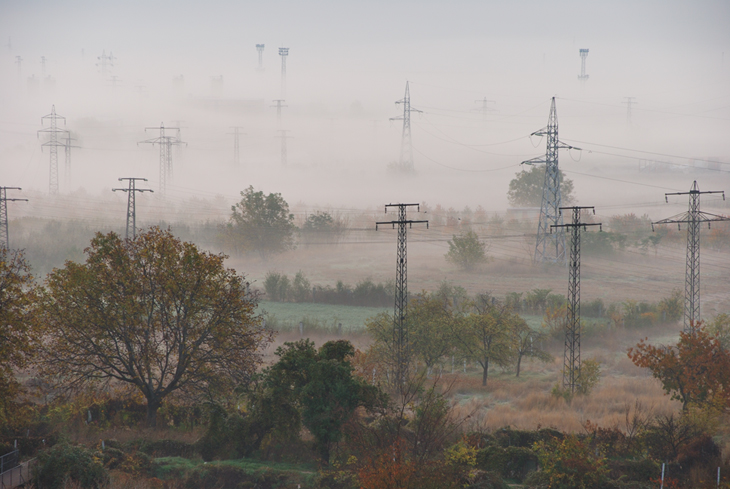 Morning Mist