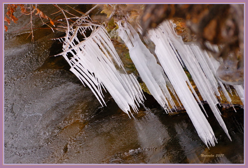 November Icicle