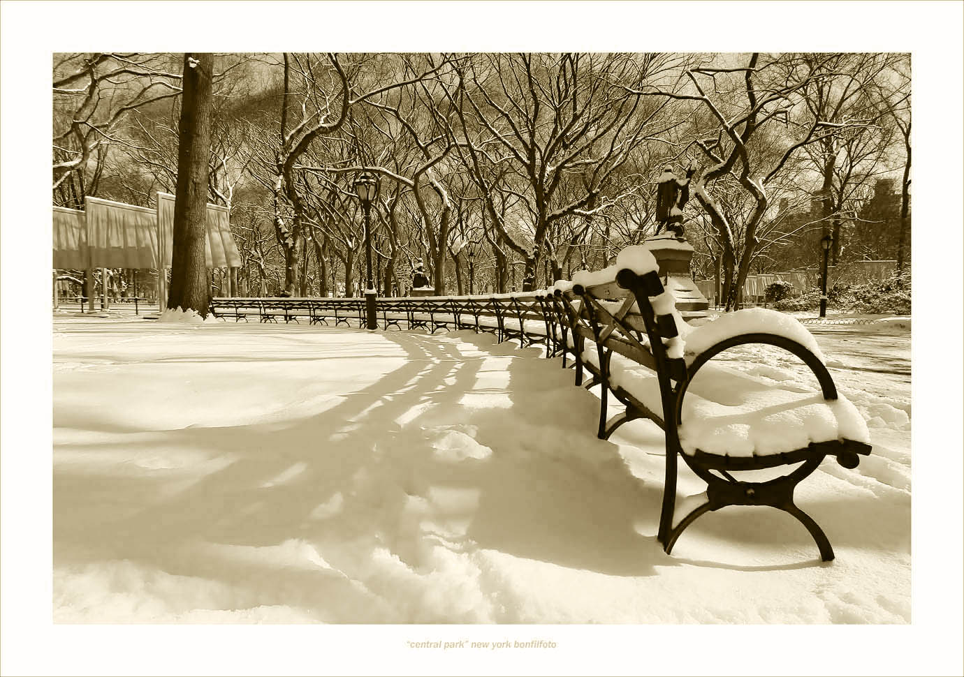 &quot;CENTRAL PARK&quot; NEW YORK/фотография отобрана на выставку в Москву, галерея &quot;Белая дача&quot;/