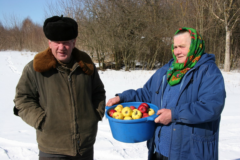 ЗИМНИЙ УРОЖАЙ