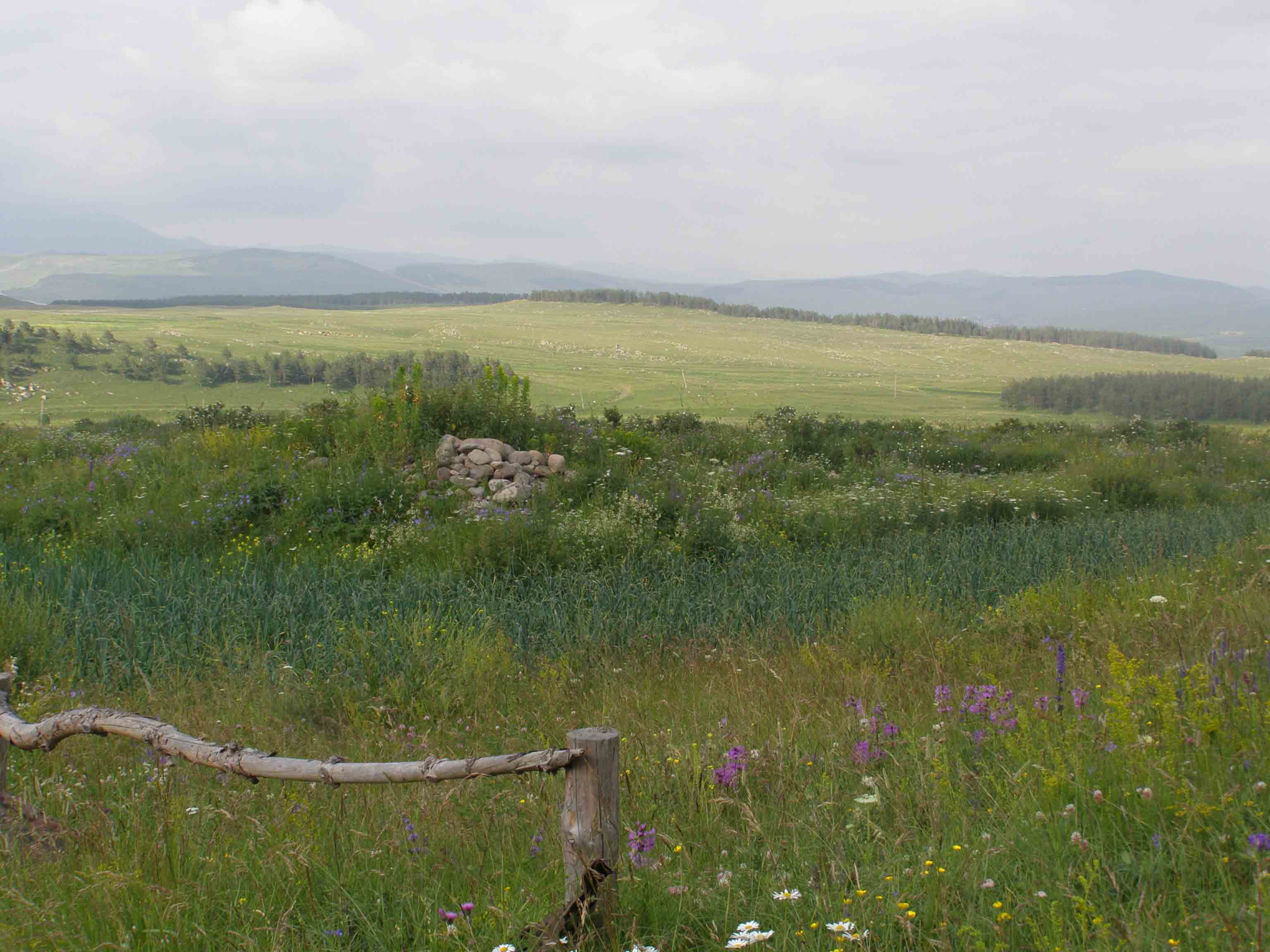 просторы