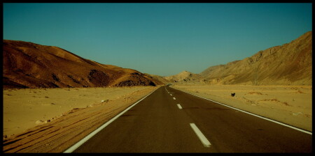 Дорога домой