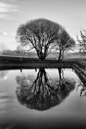 Держаться Корней