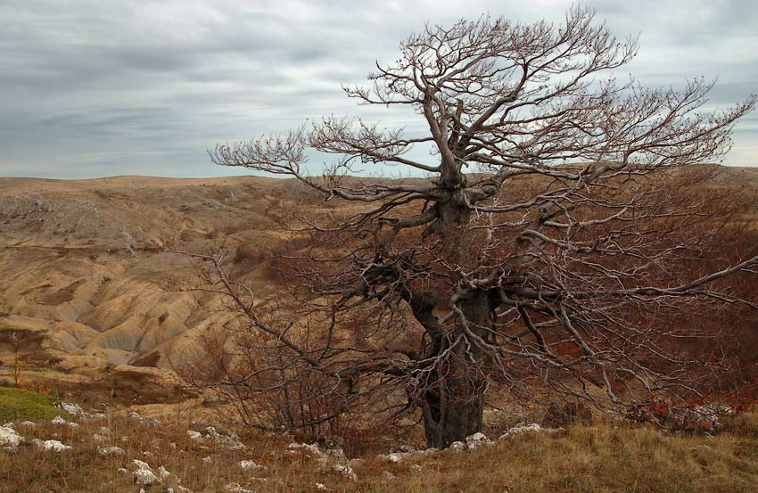 Караби, урочище Чигенитра 