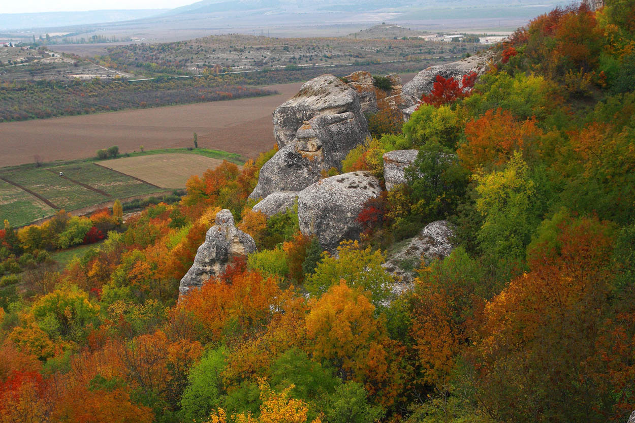 Осенняя палитра