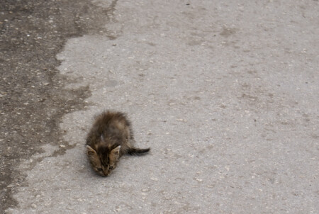 Одиночество