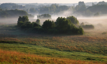 на рассвете