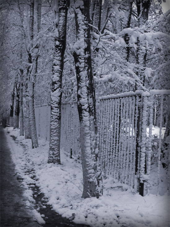 Winter alley