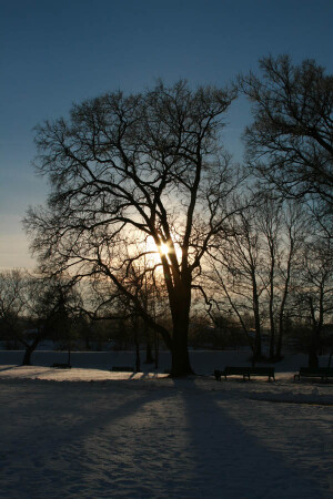 Зимний вечер