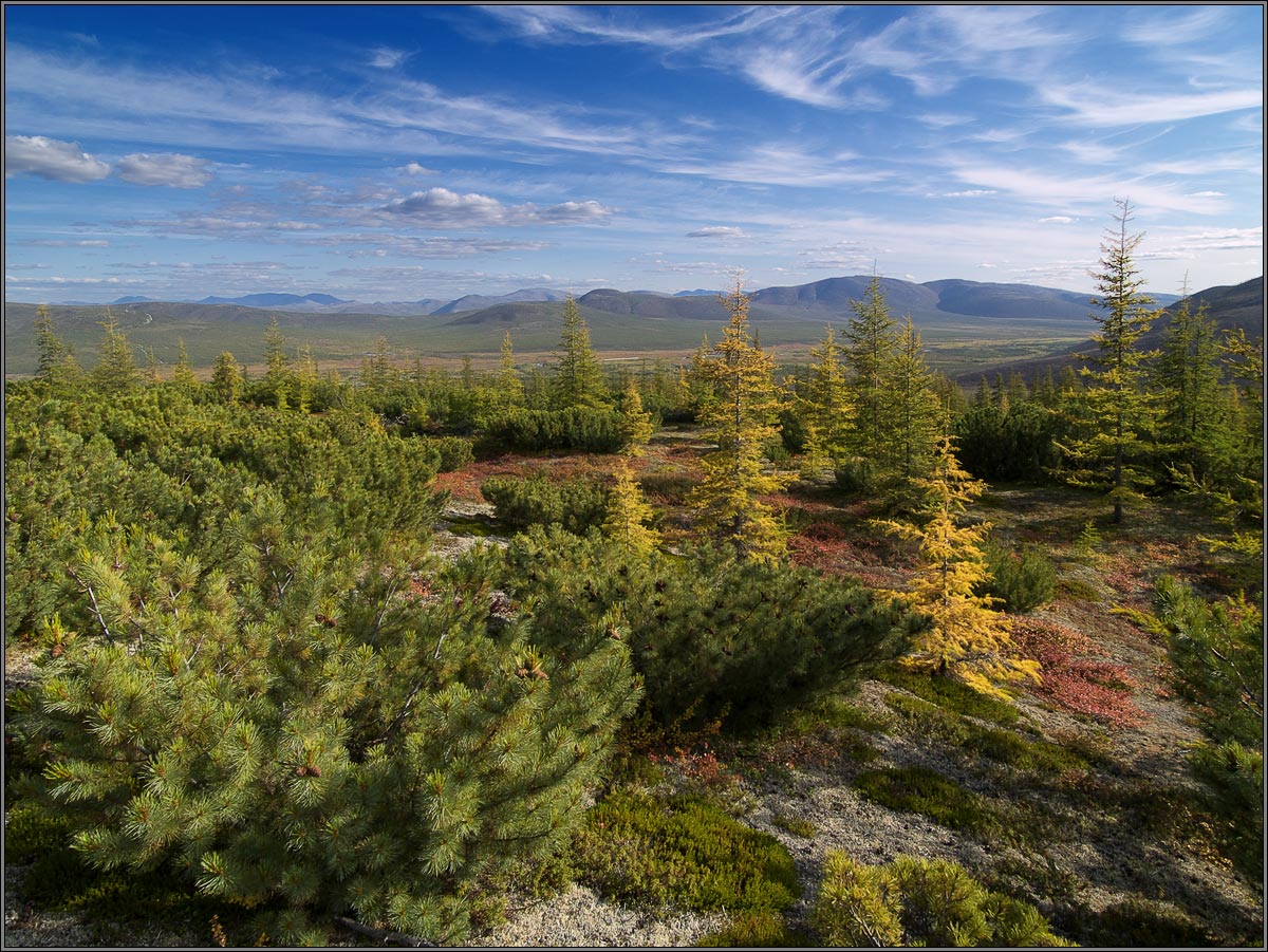 Картинка ранней осени