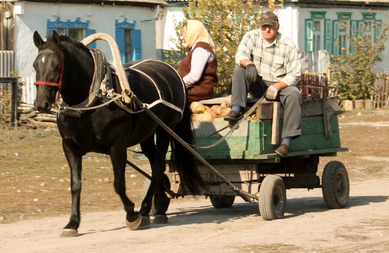 Сельская жизнь