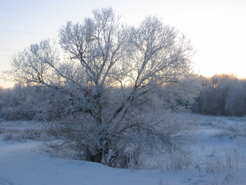 Снежная Королева