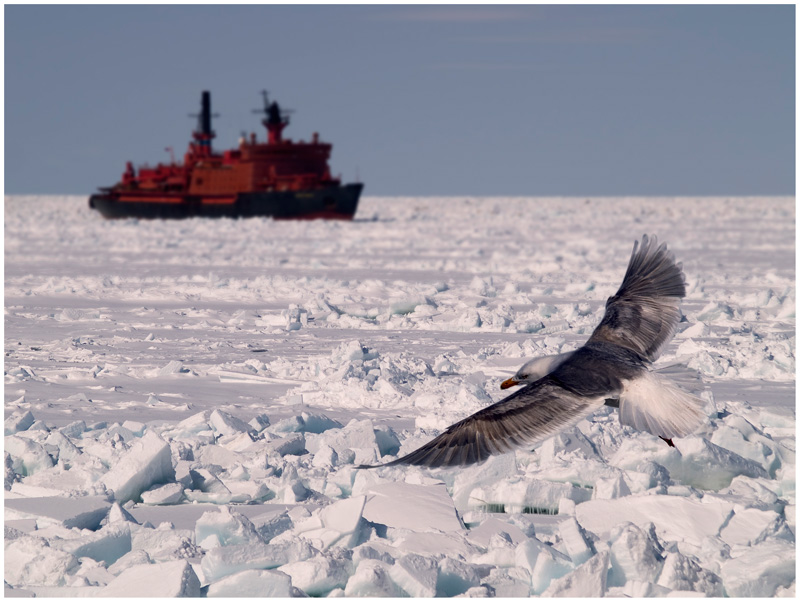 В Карском море