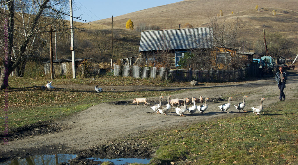 Полдень в алтайской деревушке...