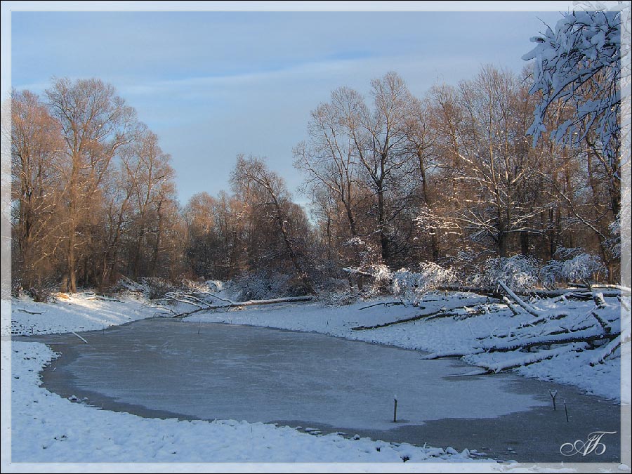 Зима пришла... Блеснул мороз...