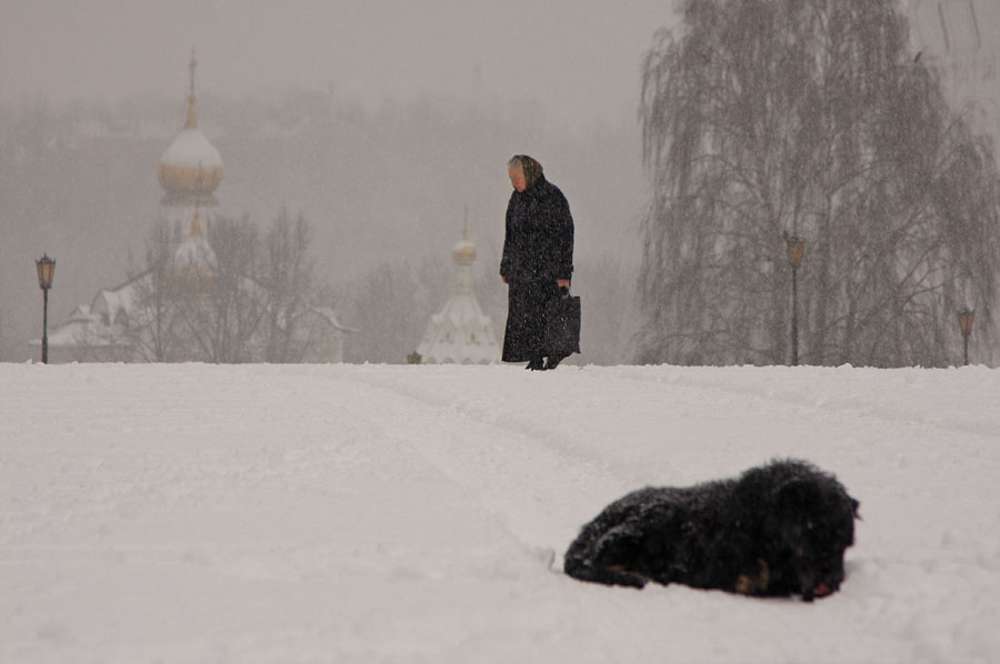 Жизнь...