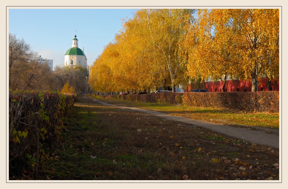 Осень золотая........