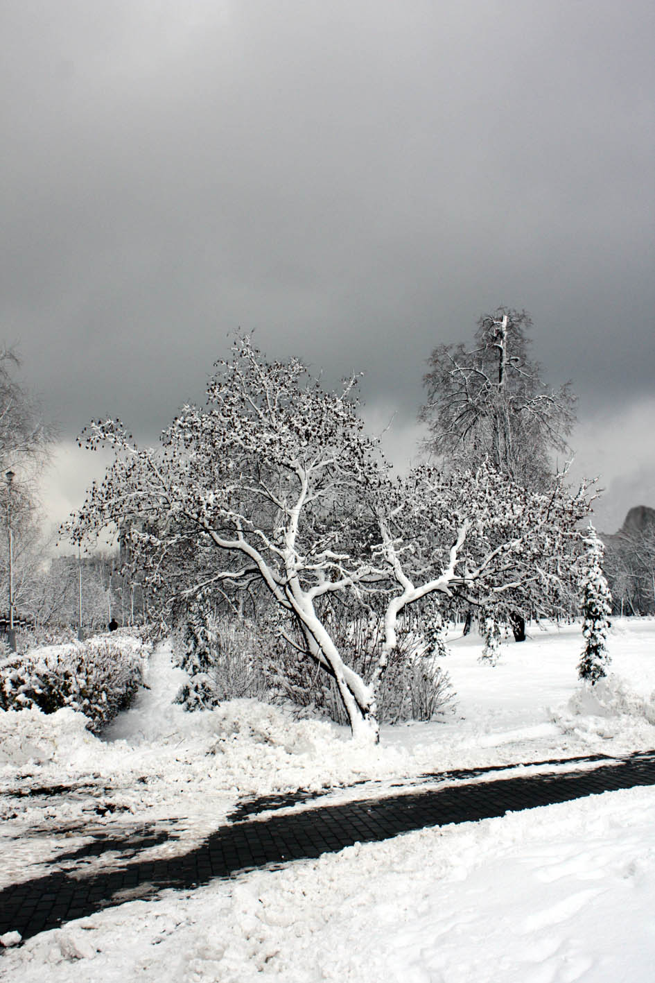 Japan weather