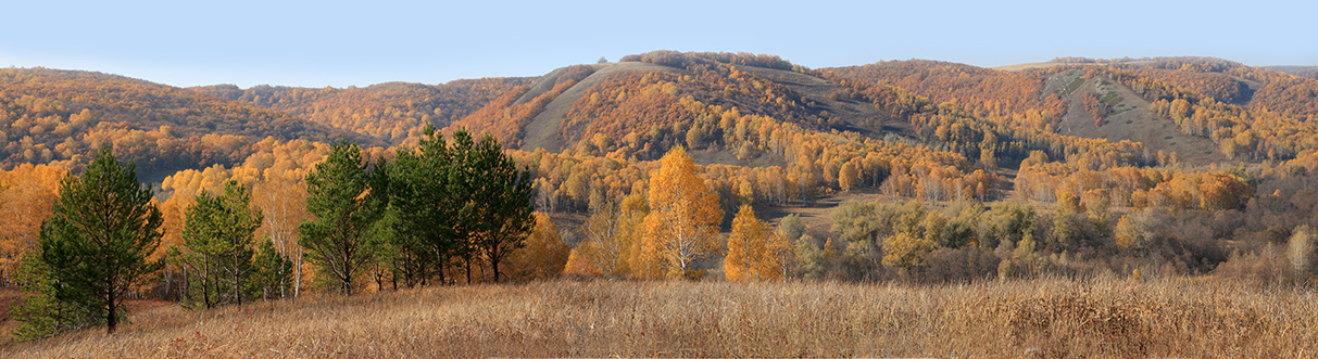 Осень 2008 №14