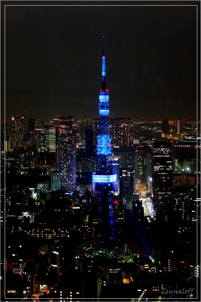 Tokyo Tower(Night View)