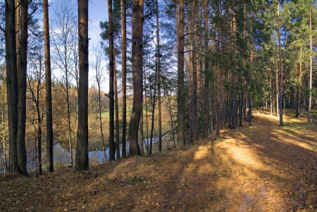 Светлобор.