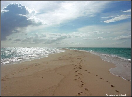 Океанская дорога