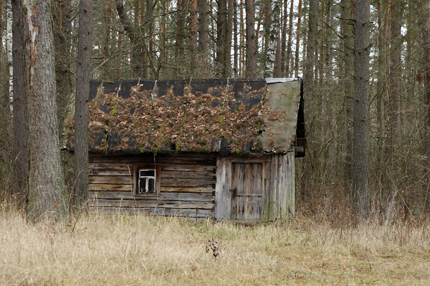 Баня