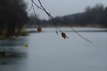 речка &amp;quot;Серебрянка&amp;quot;1