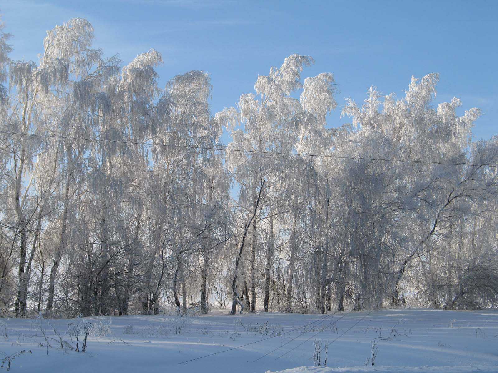 жигули