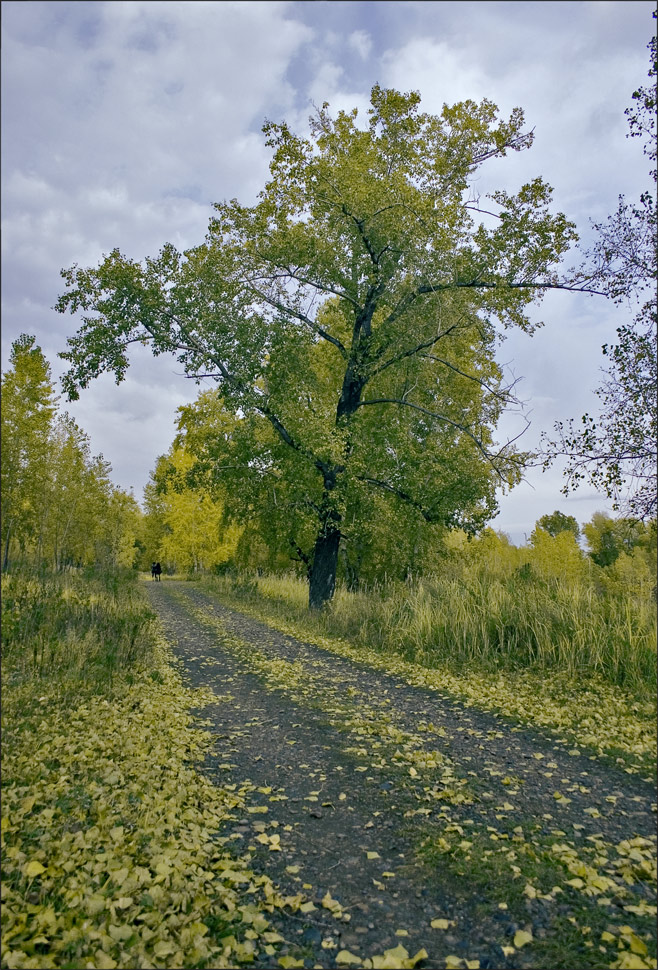 Вспоминая осень