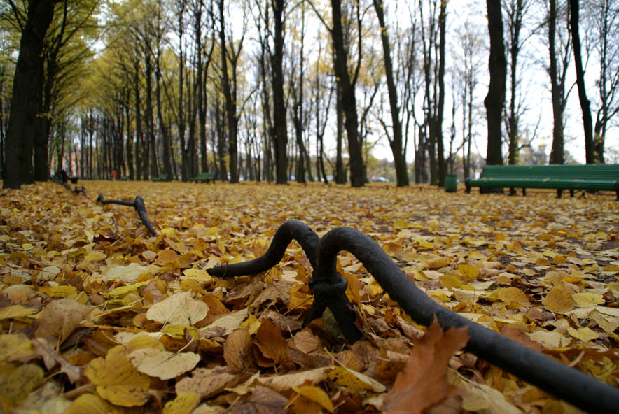 Осенний барьер