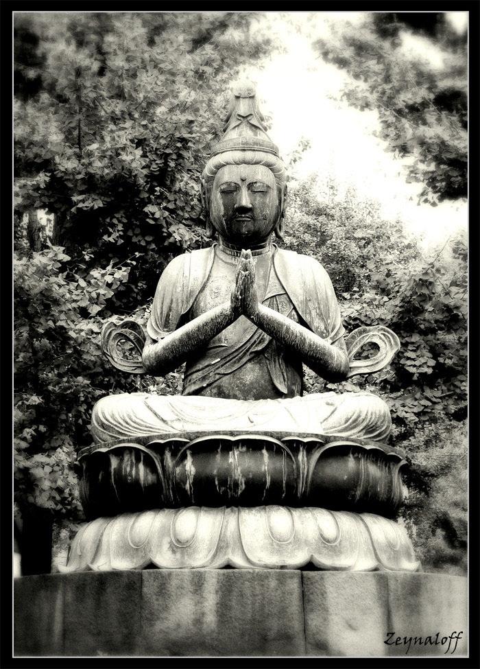 Buddah