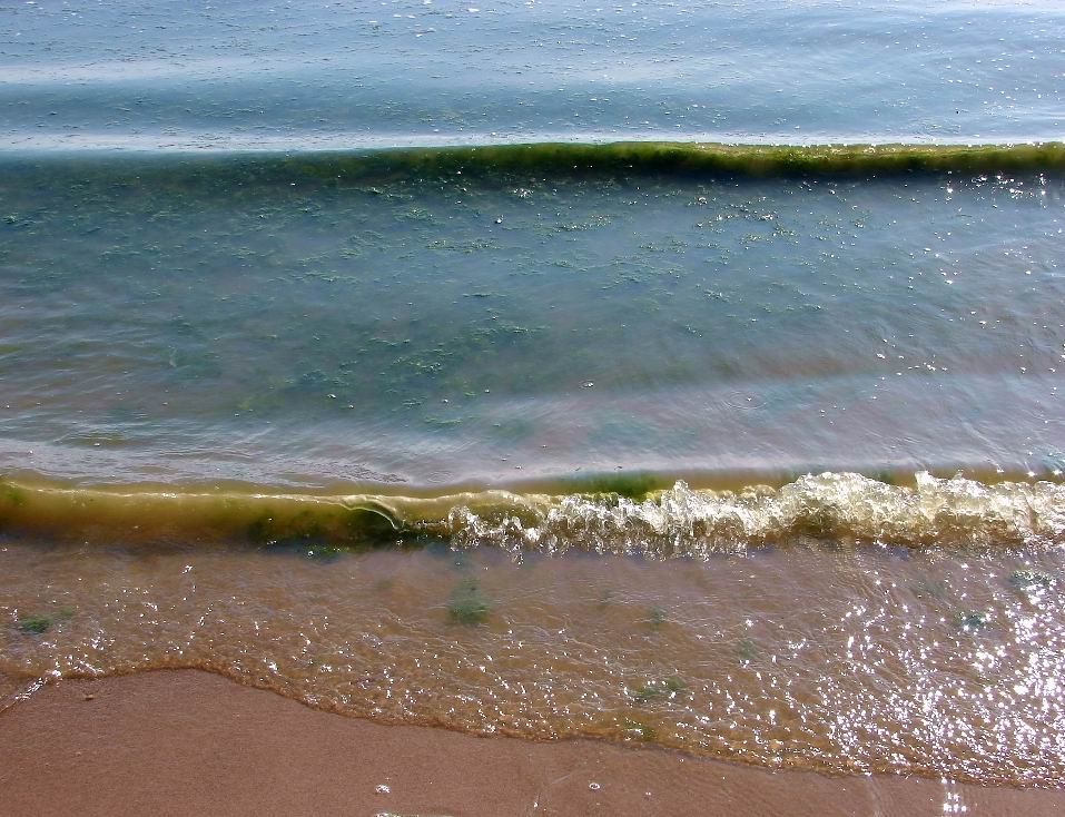 Немного о ЖИВОЙ воде..