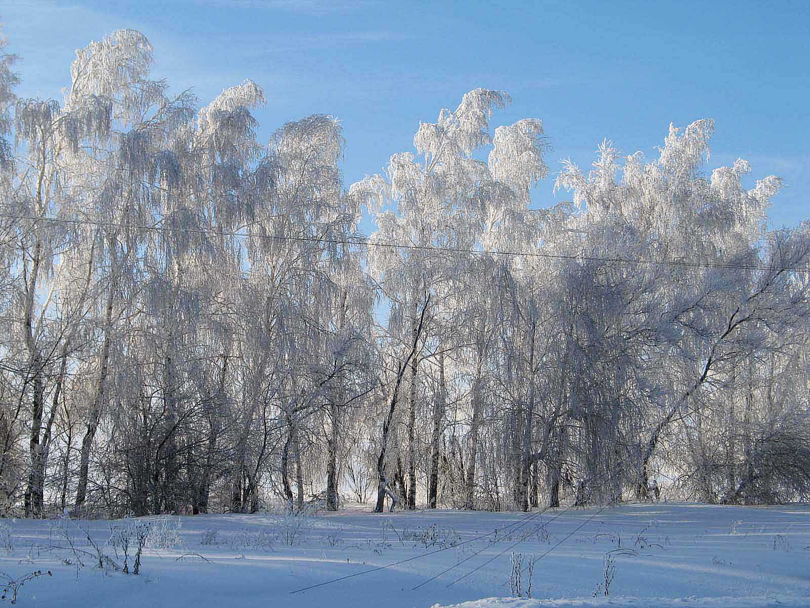 жигули (поправленная)