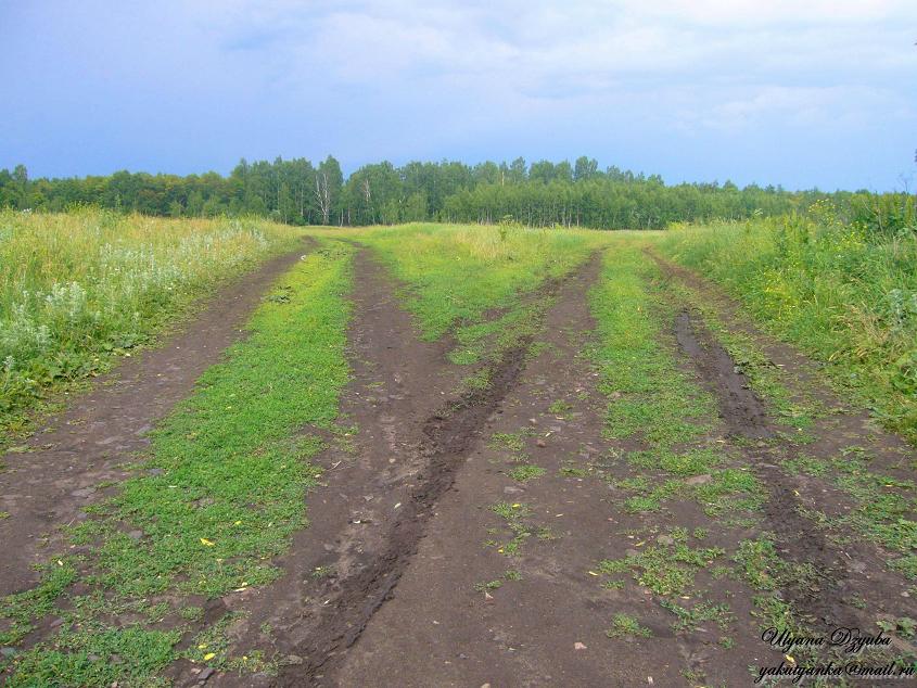 Две дороги, два пути...