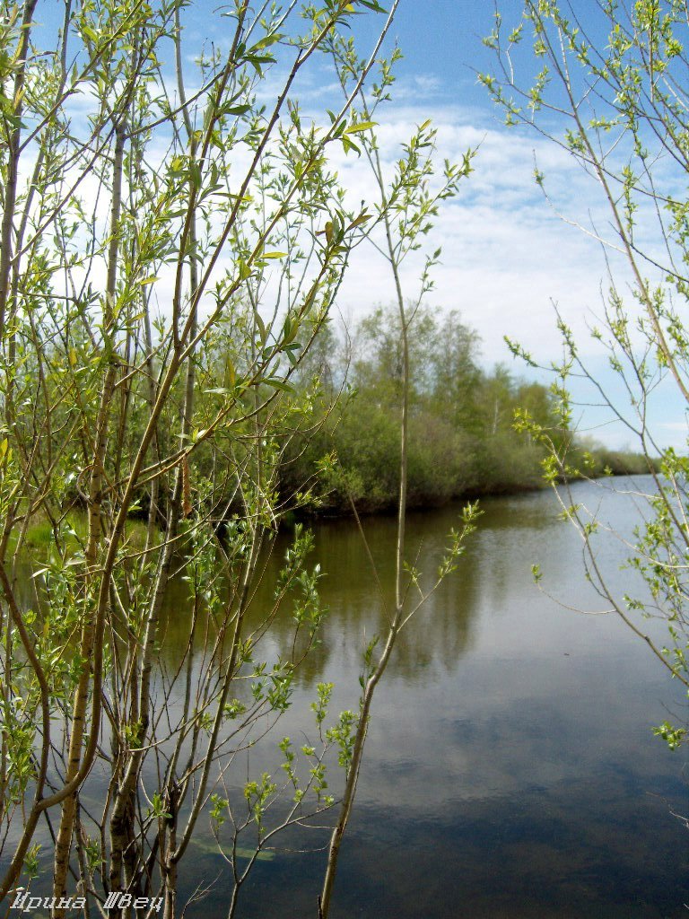 воспоминания о лете